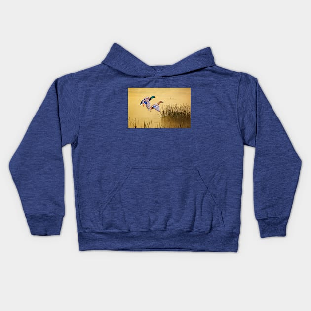 Male and Female Mallard Ducks Kids Hoodie by lauradyoung